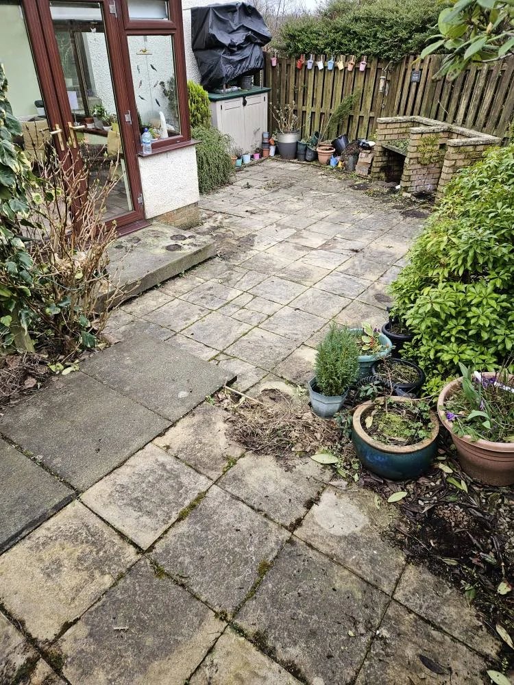 Garden patio — photo 1 from the Eden Instagram image collection