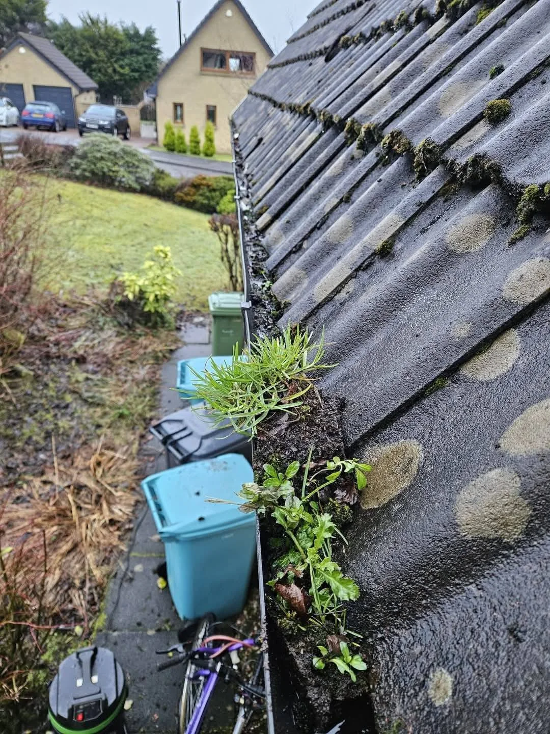 Roof & gutter details