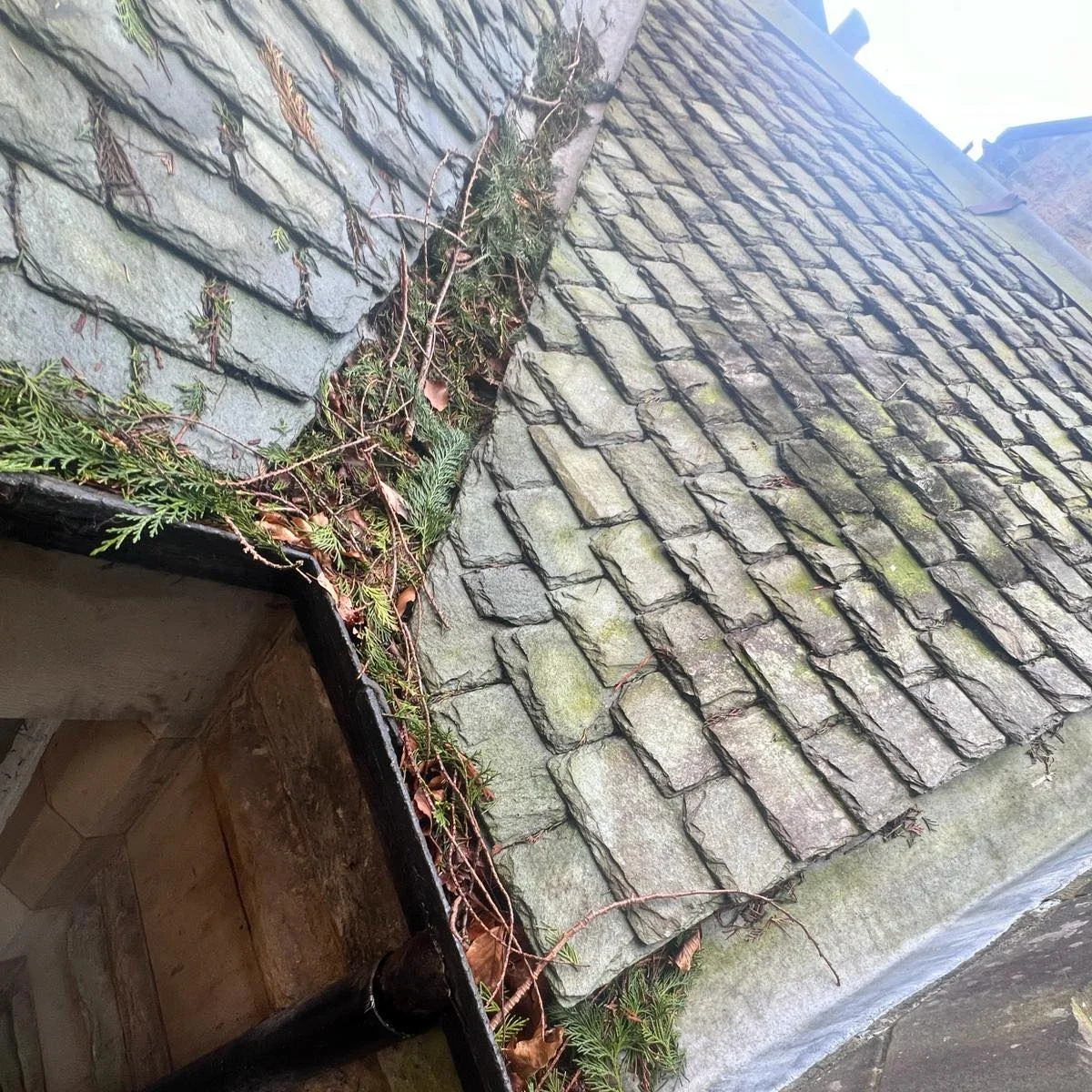 Roof tiles — photo 1 from the Eden Instagram image collection