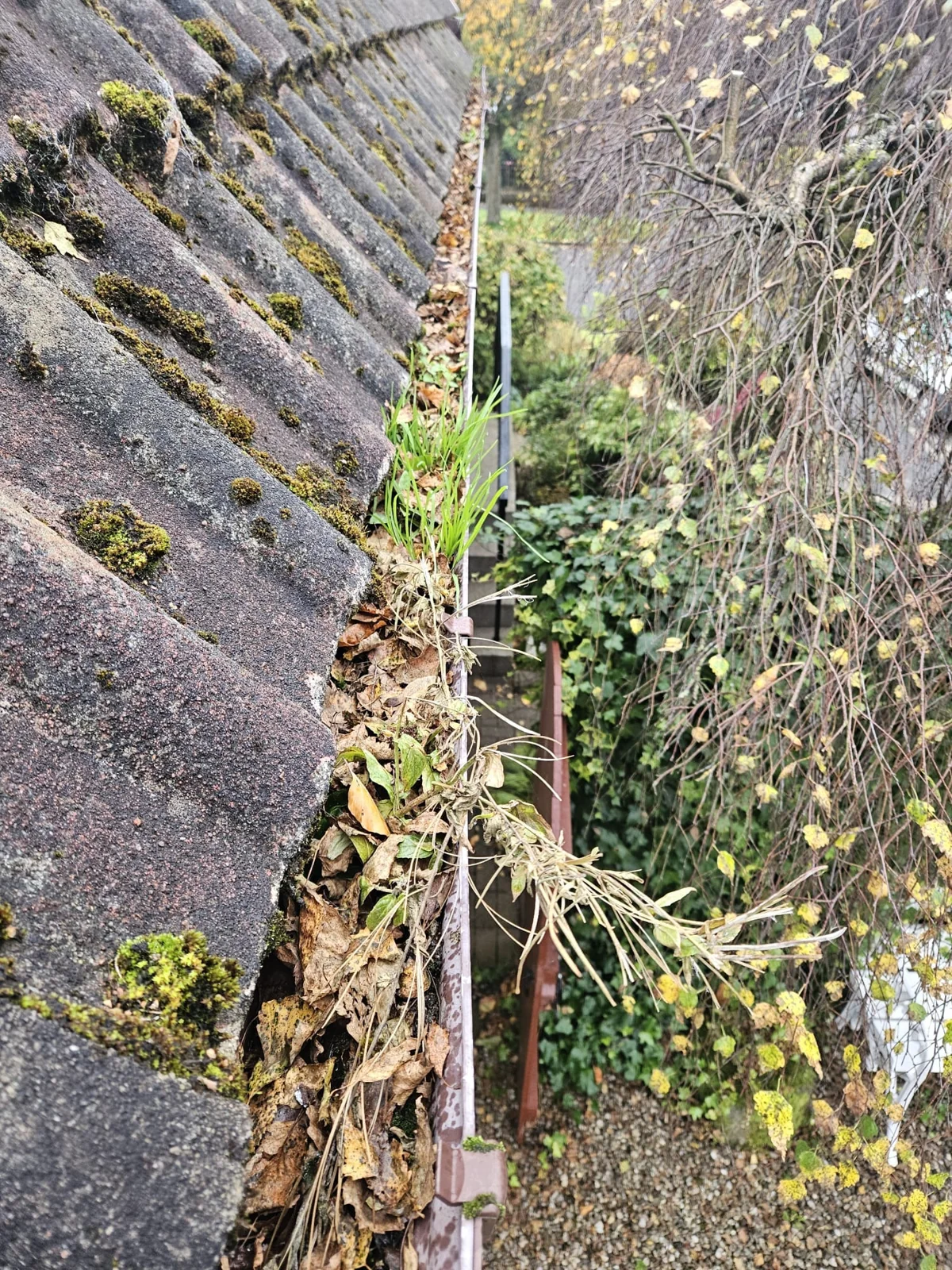 Gutter clearance — photograph 1