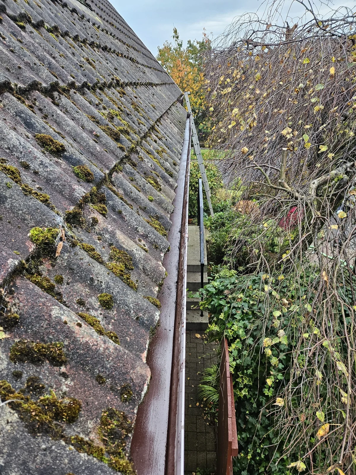 Gutter clearance — photograph 2
