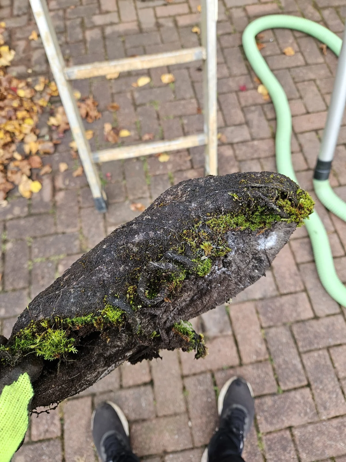 Gutter clearance — photograph 3