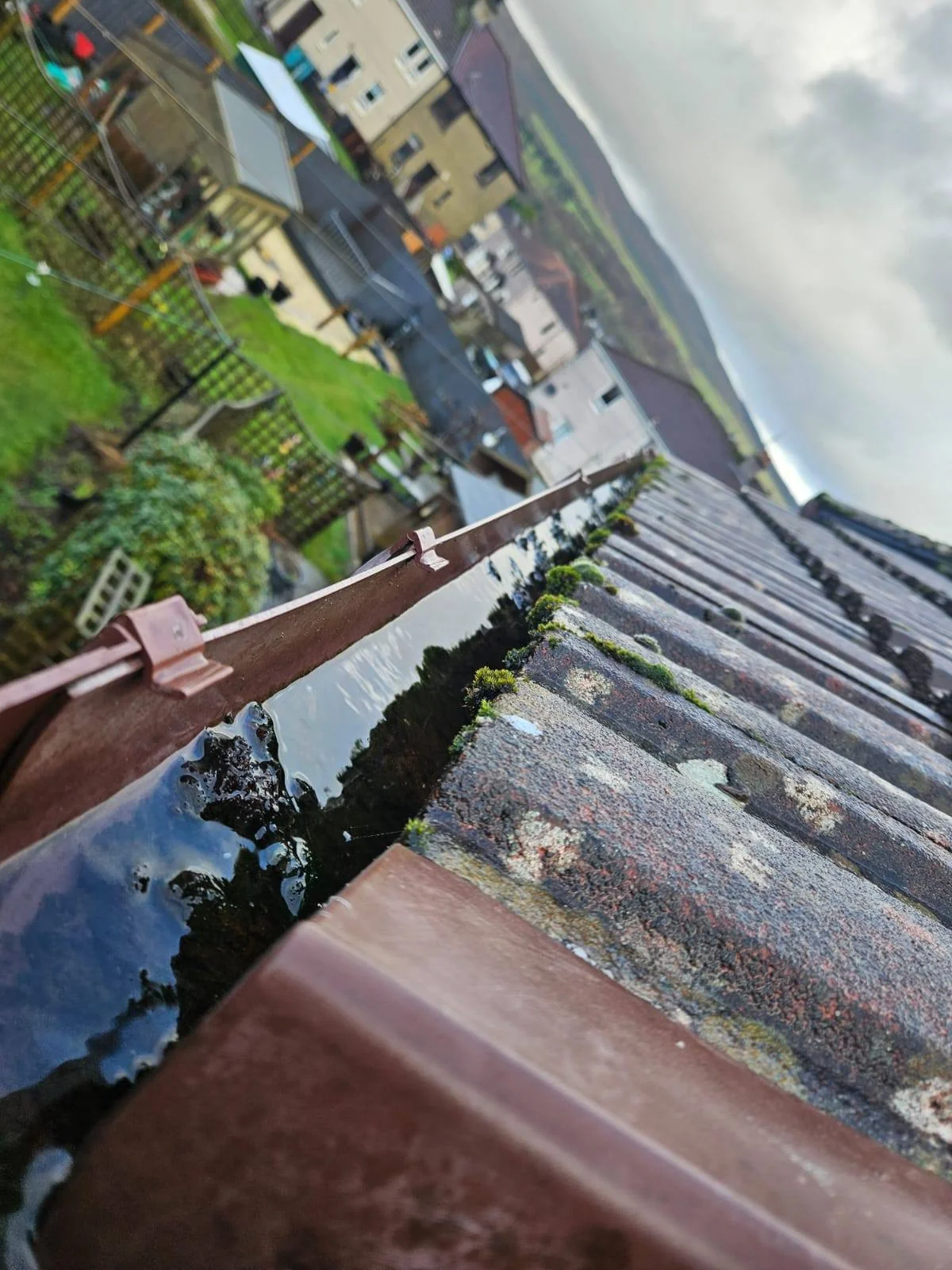 Roofline & gutter care — photograph 2