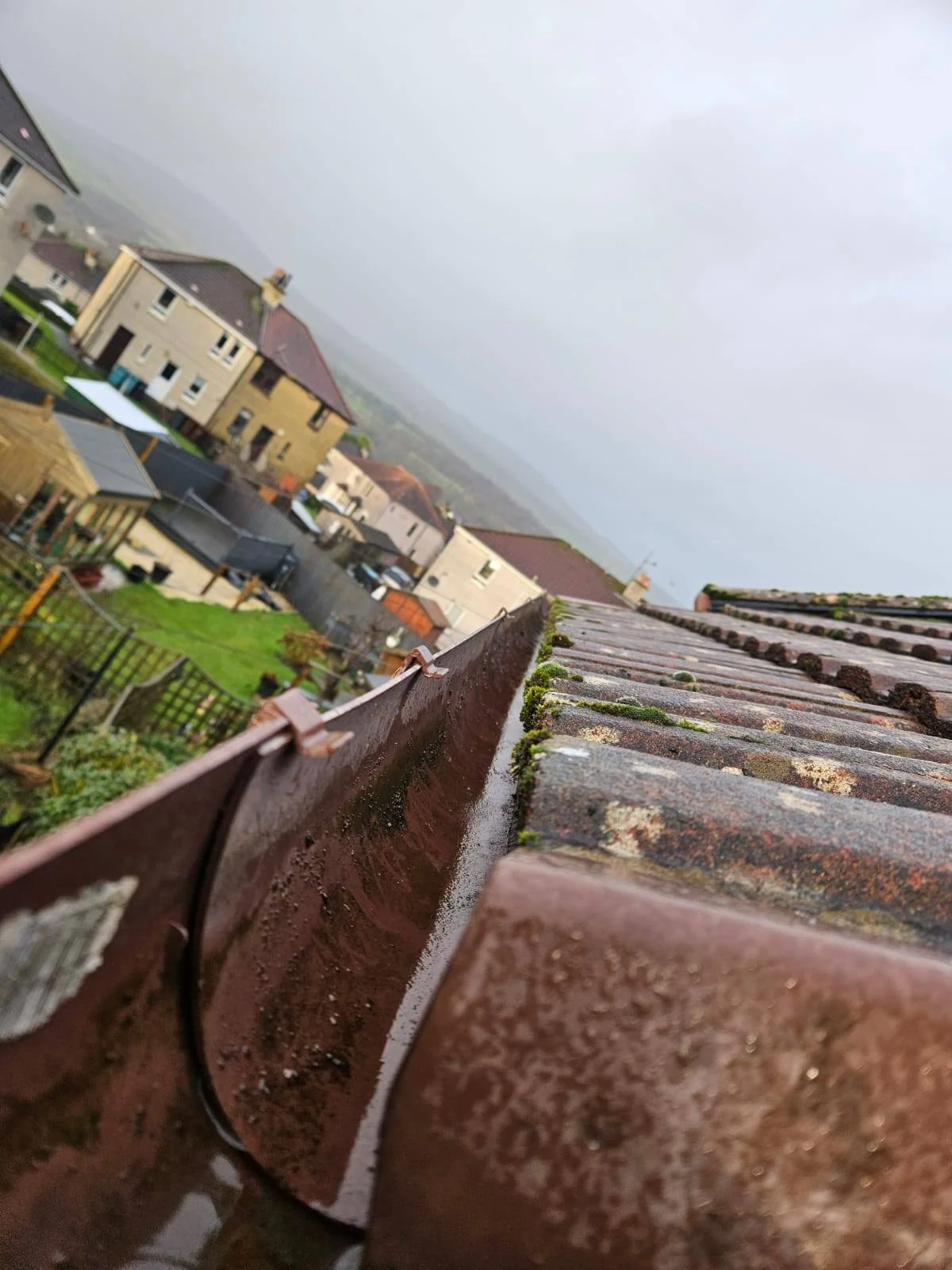 Roofline & gutter care — photograph 1