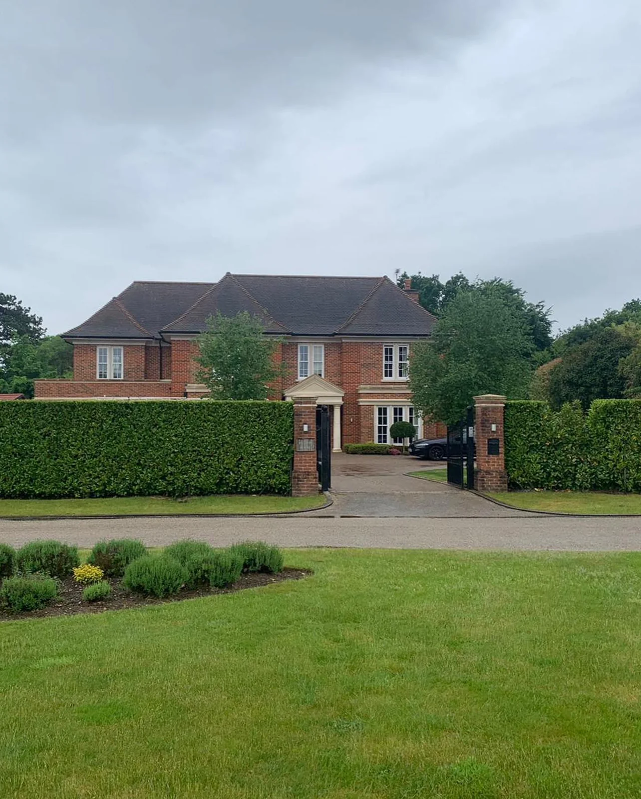 Hedge & entrance maintenance — photograph 3
