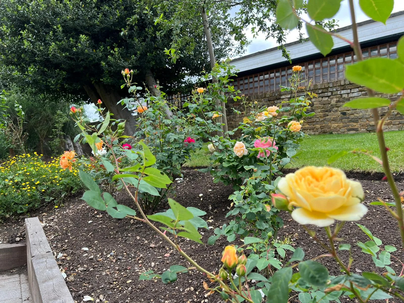 Borders & garden upkeep — photograph 1