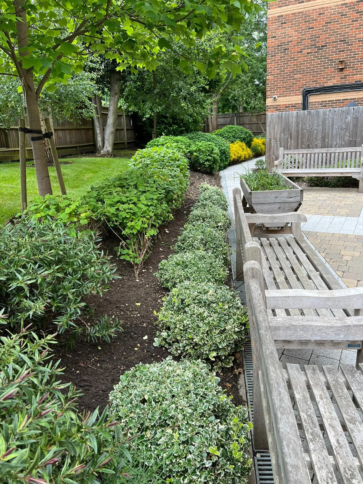 Borders & garden upkeep — photograph 2