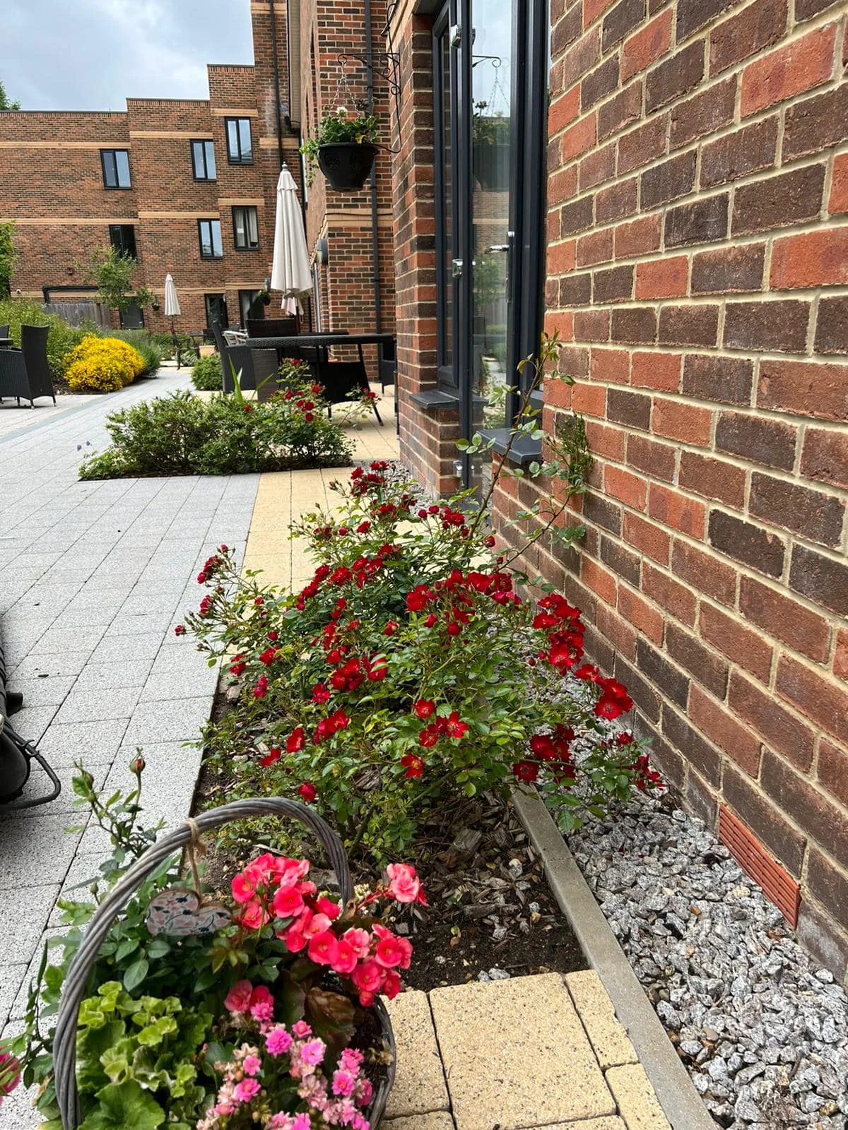 Borders & garden upkeep — photograph 3