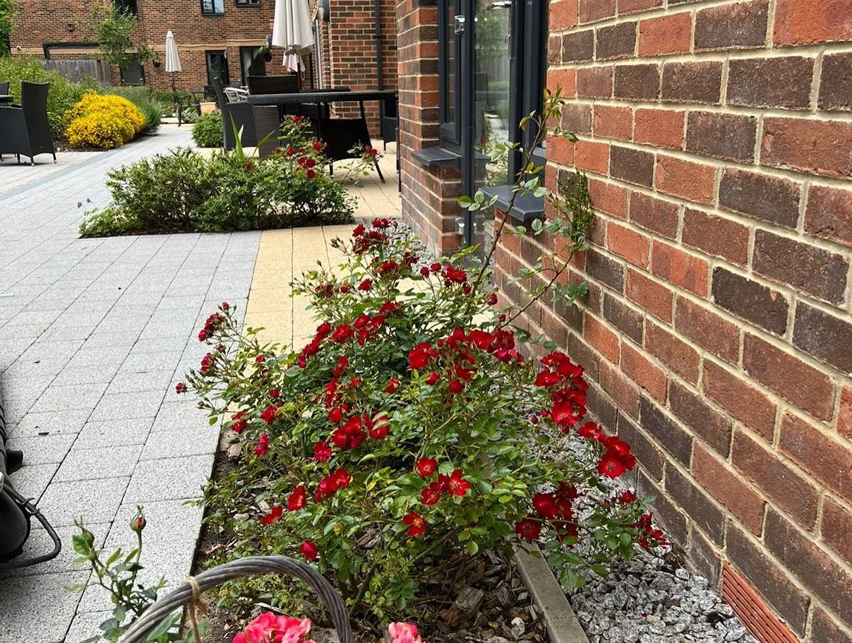Borders & garden upkeep — photograph 4