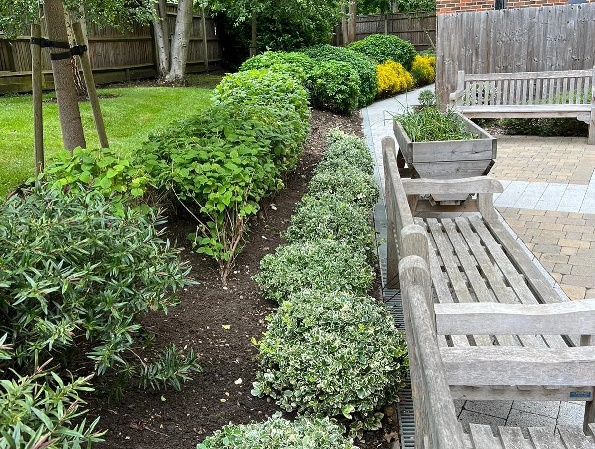 Borders & garden upkeep — photograph 5