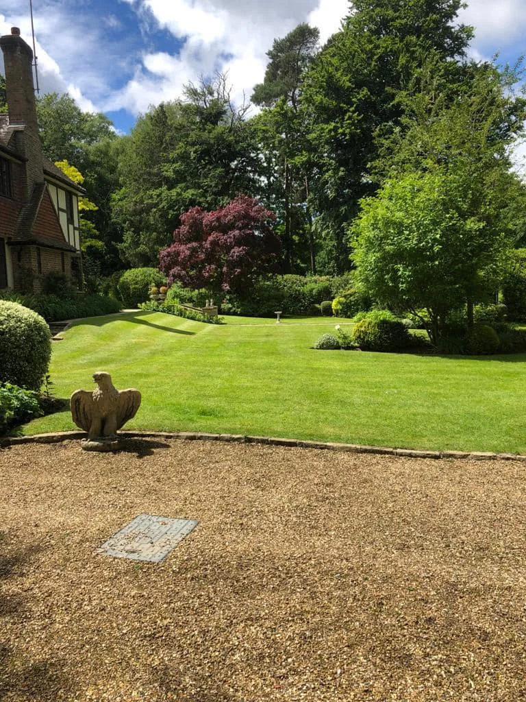 Established garden care — photograph 2