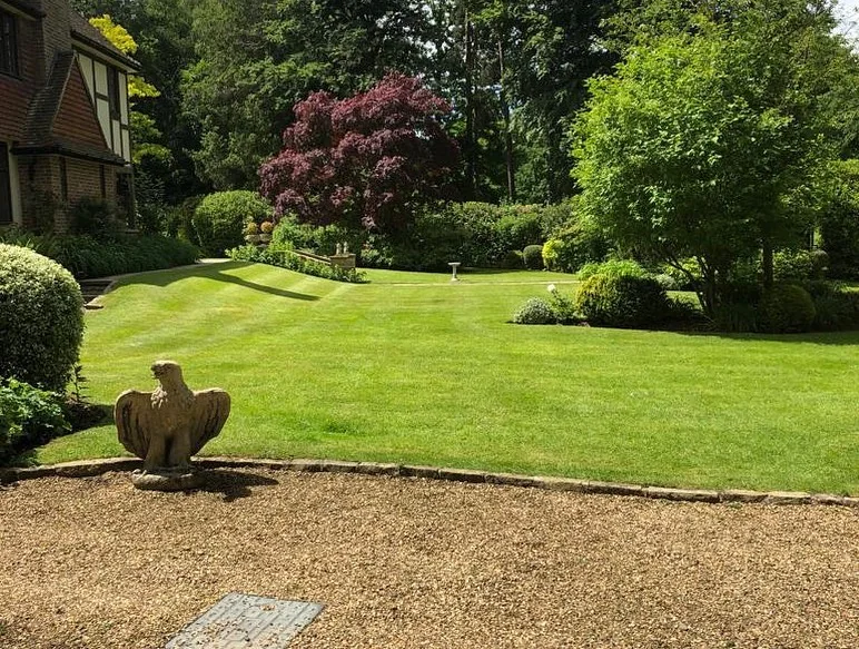 Established garden care — photograph 4