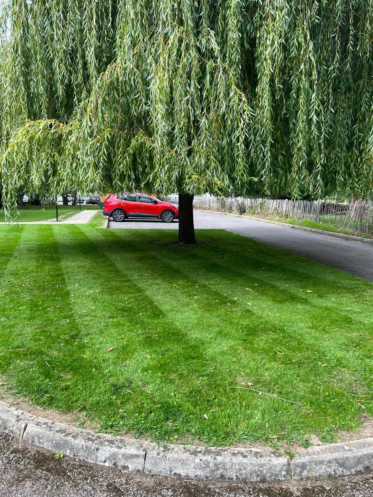 Residential grounds maintenance — photograph 1