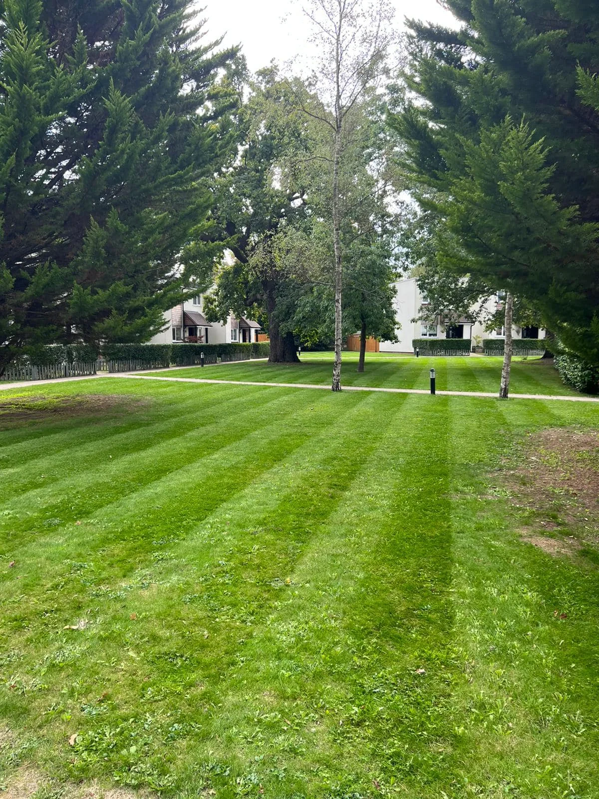 Residential grounds maintenance — photograph 3