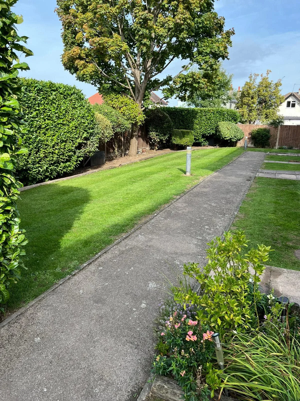 Residential grounds maintenance — photograph 4