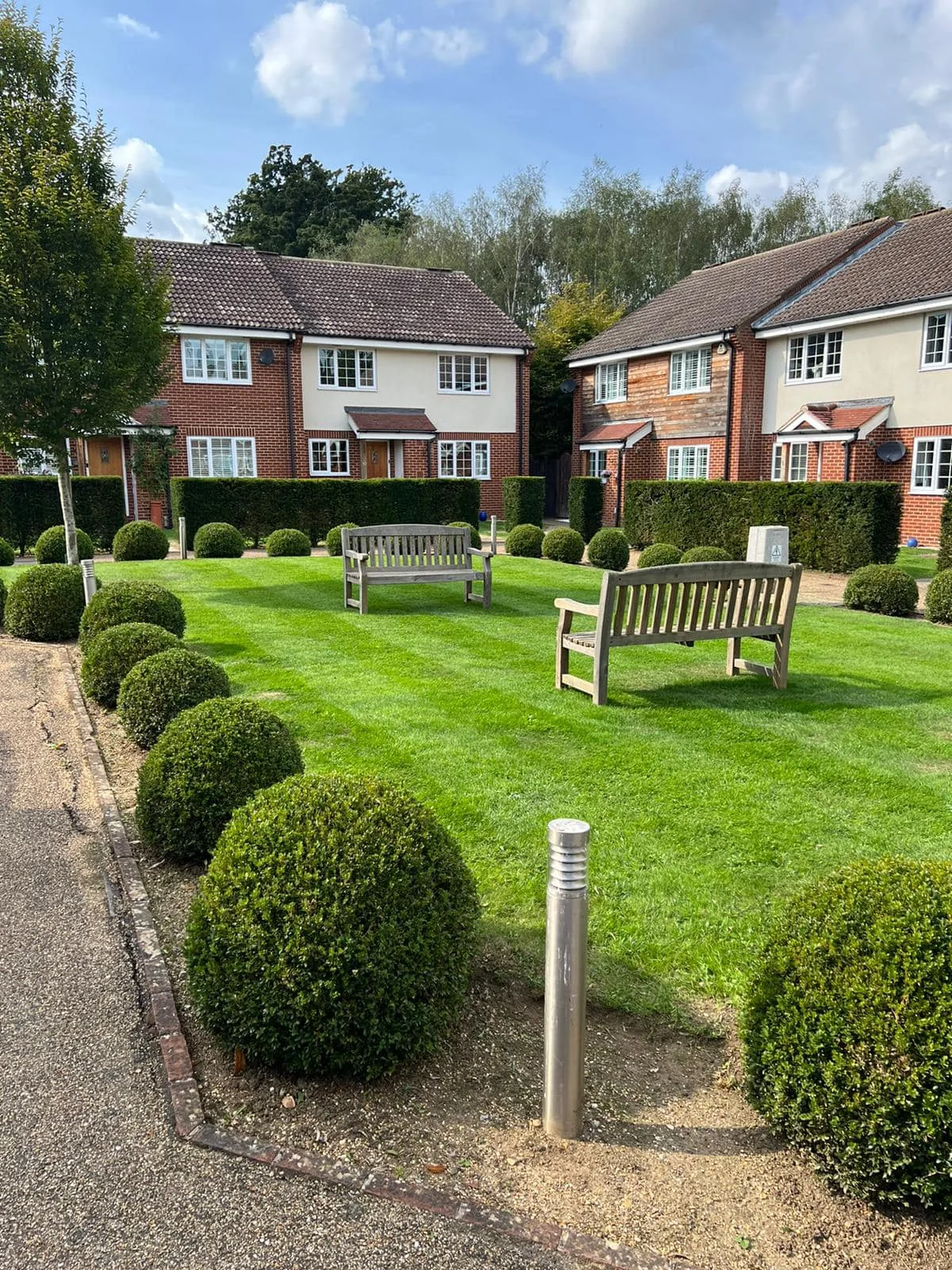Residential grounds maintenance — photograph 5