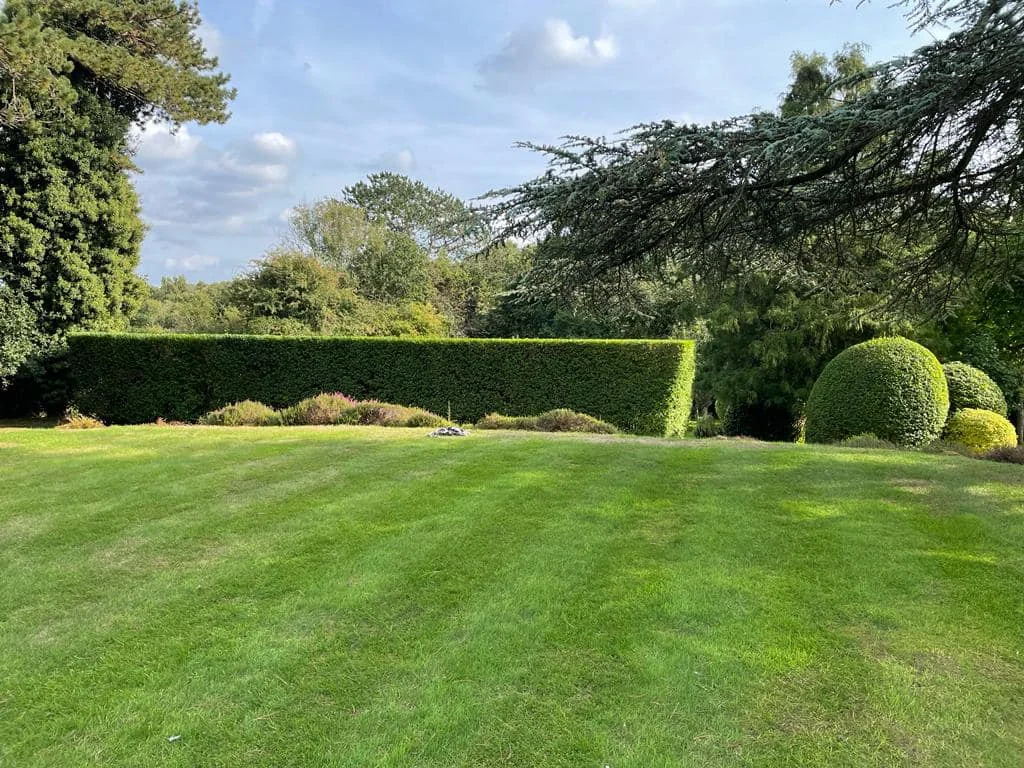 Lawn & hedge care — photograph 2