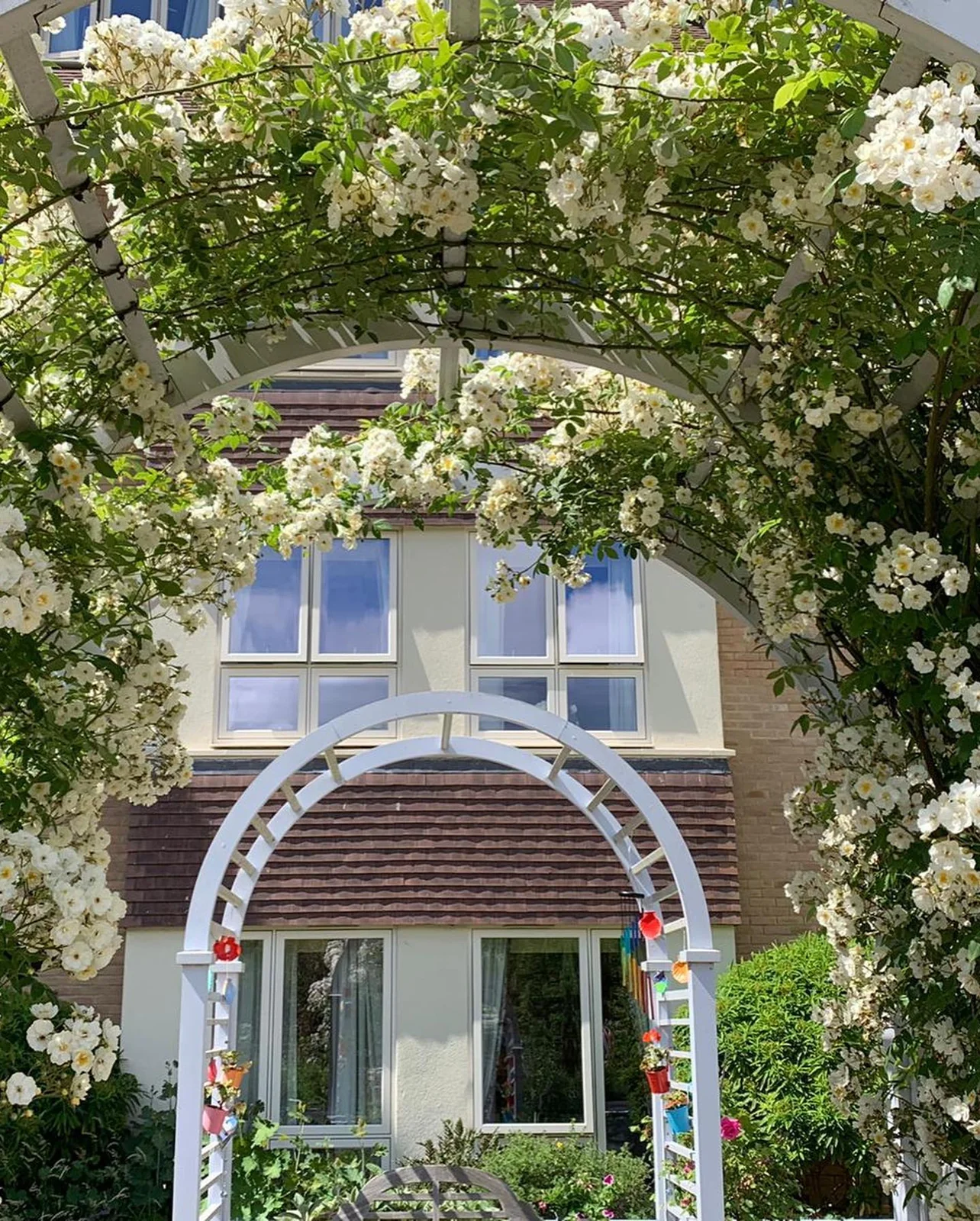 Rose arches & planting — photograph 4