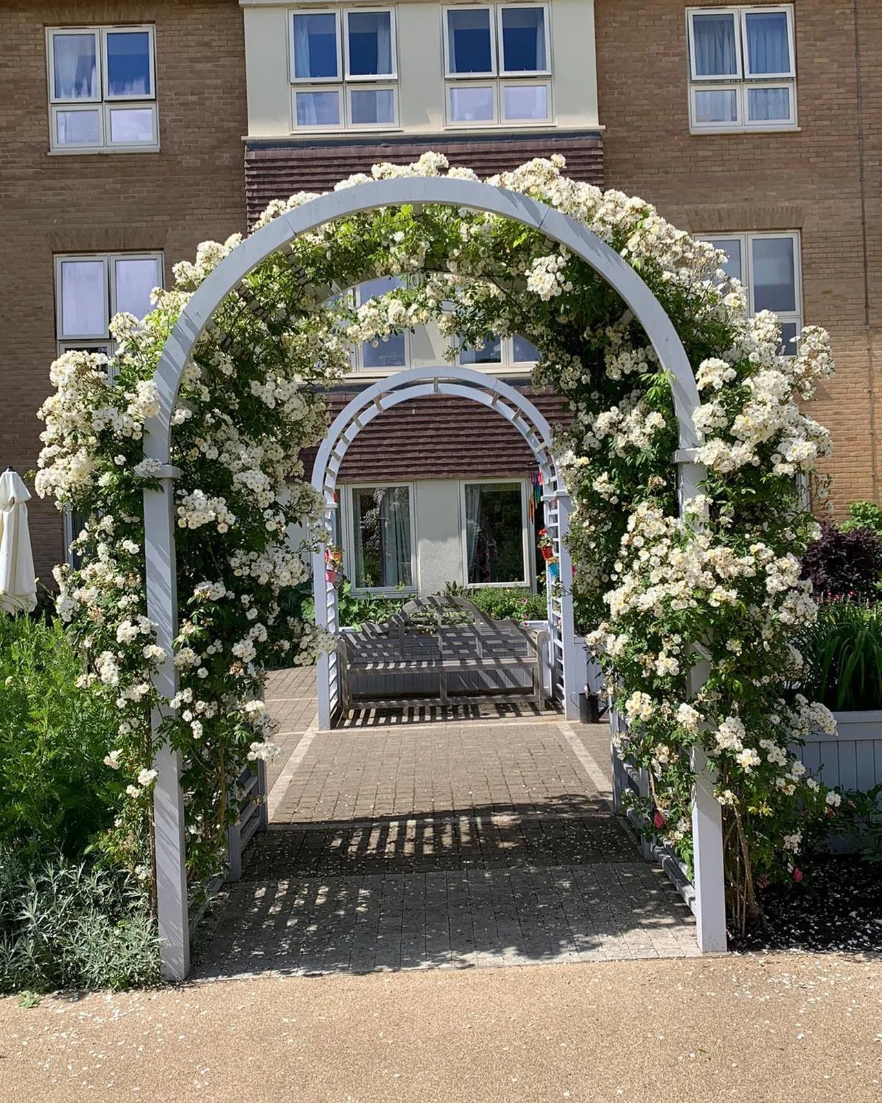 Rose arches & planting — photograph 2