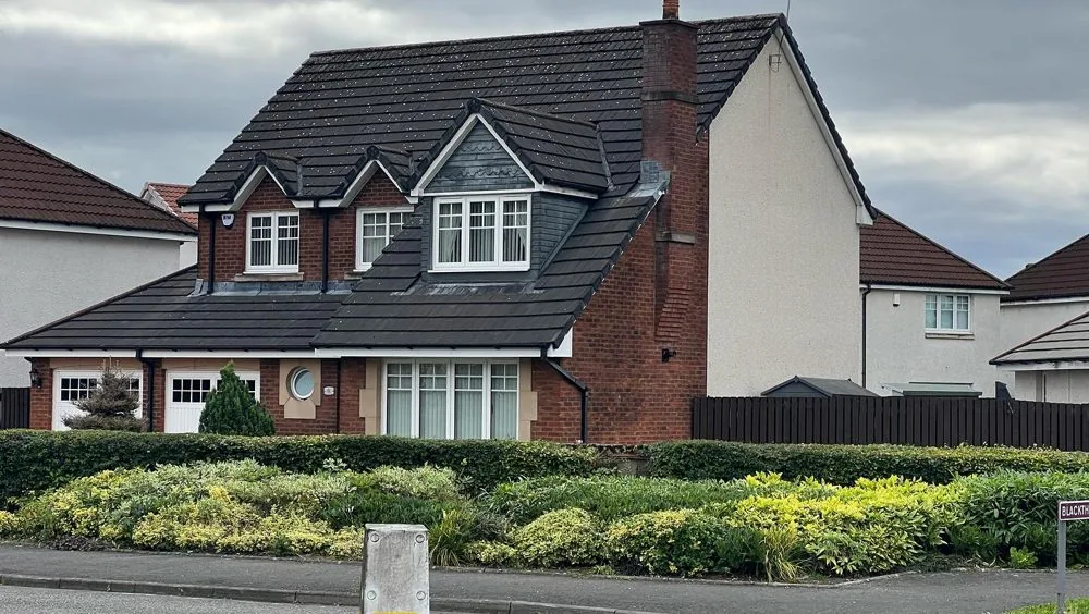 Shrubs and planting around a residential property